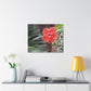 Art Prints & Wall Art, Gallery Canvas with Peach Hibiscus Flower