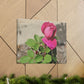 Dear Pink Rosa | High Bloom Collection | Canvas | Life By Ortavia
