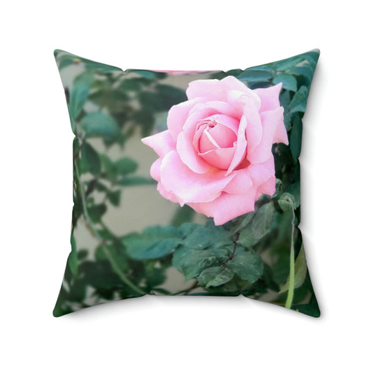 Focus On A Pink Rose| Throw Pillow | High Bloom Collection | Life By Ortavia