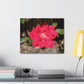 Knockout | Wall Art Print | High Bloom Collection | Life By Ortavia