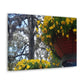 Yellow Pansies Downtown | Wall Art Canvas | High Bloom Collection | Life By Ortavia