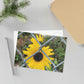 Sunflower Behind A Fence Fine Art Postcards