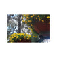 Yellow Pansies Downtown | Satin Posters (210gsm) | High Bloom Collection | Life By Ortavia