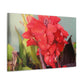 Red Canna | High Bloom Collection | Wall Art Print | Life By Ortavia