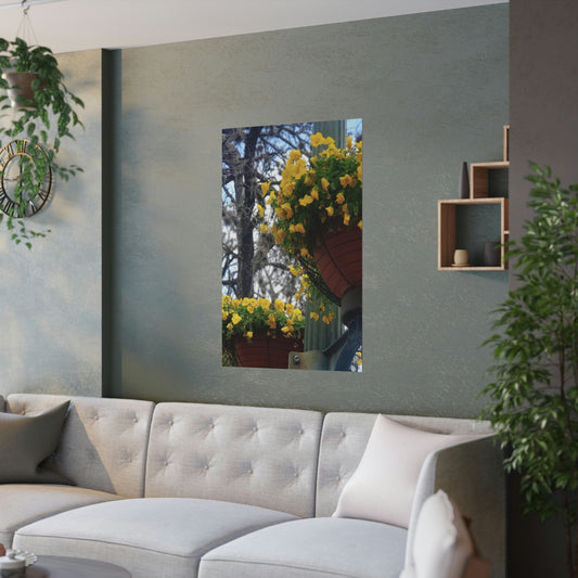 Yellow Pansies Downtown | Satin Posters (210gsm) | High Bloom Collection | Life By Ortavia