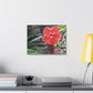 Art Prints & Wall Art, Gallery Canvas with Peach Hibiscus Flower