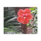 Art Prints & Wall Art, Gallery Canvas with Peach Hibiscus Flower