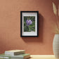 Framed Posters, Black