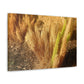 Golden Foxtail Fern | Wall Art Canvas | High Bloom Collection | Life By Ortavia