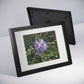Framed Posters, Black