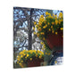 Yellow Pansies Downtown | Wall Art Canvas | High Bloom Collection | Life By Ortavia