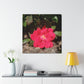Knockout | Wall Art Print | High Bloom Collection | Life By Ortavia