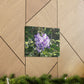 Purple Texas Mountain Laurel | Wall Art Canvas
