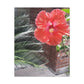 Art Prints & Wall Art, Gallery Canvas with Peach Hibiscus Flower