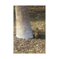 Squirrel and A Nut | Wall Art Print | Urban Geographic Collection | Life By Ortavia