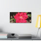 Knockout | Wall Art Print | High Bloom Collection | Life By Ortavia