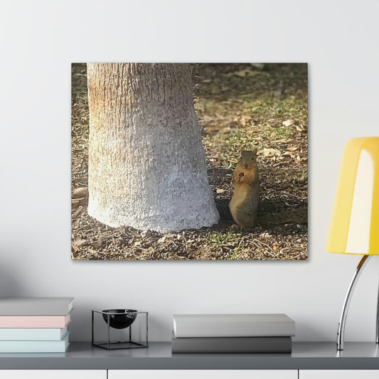 Squirrel and A Nut | Wall Art Print | Urban Geographic Collection | Life By Ortavia