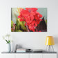 Red Canna | High Bloom Collection | Wall Art Print | Life By Ortavia