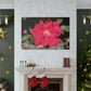Knockout | Wall Art Print | High Bloom Collection | Life By Ortavia