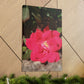 Knockout | Wall Art Print | High Bloom Collection | Life By Ortavia