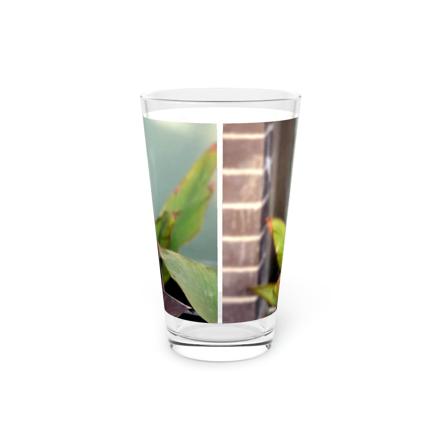 Red Canna | Pint Glass 16 oz | Life By Ortavia