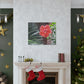 Art Prints & Wall Art, Gallery Canvas with Peach Hibiscus Flower