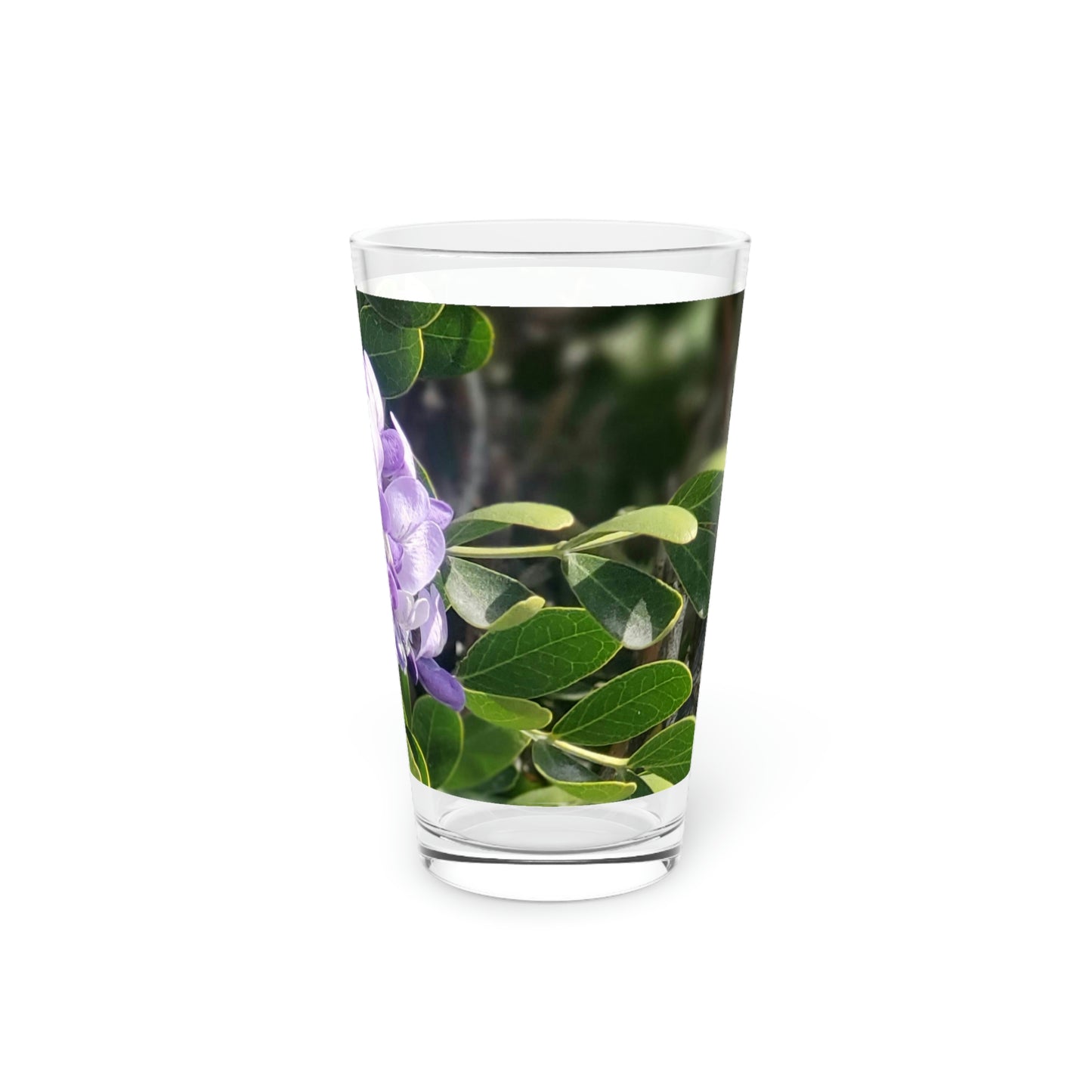 Purple Texas Mountain Laurel | Pint Glass 16 oz