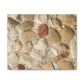 Big Gravel Sidewalk | Wall Art Print | Urban Geographic Collection | Life By Ortavia
