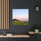 Sunflowers and a Rainbow Sky Canvas Gallery Wraps