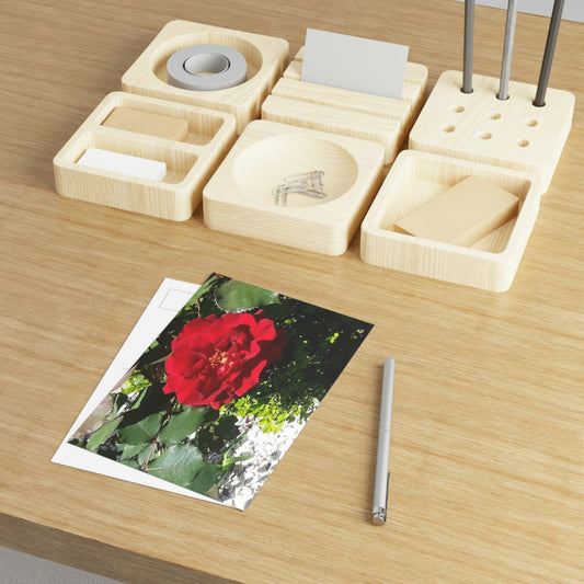 Europeana Red Rose Fine Art Postcards