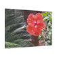 Art Prints & Wall Art, Gallery Canvas with Peach Hibiscus Flower