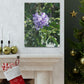 Purple Texas Mountain Laurel | Wall Art Canvas