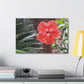 Art Prints & Wall Art, Gallery Canvas with Peach Hibiscus Flower