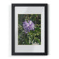 Framed Posters, Black