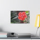 Art Prints & Wall Art, Gallery Canvas with Peach Hibiscus Flower