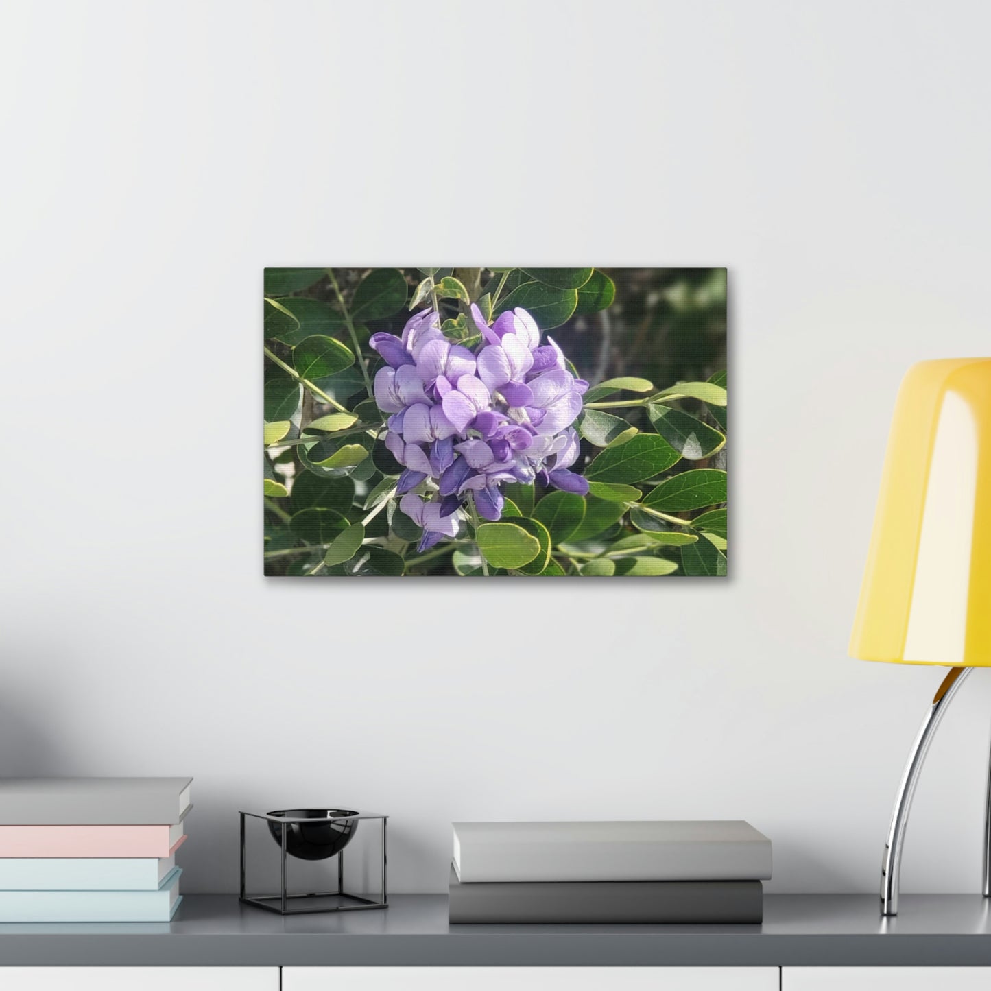 Purple Texas Mountain Laurel | Wall Art Canvas