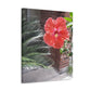 Art Prints & Wall Art, Gallery Canvas with Peach Hibiscus Flower