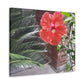 Art Prints & Wall Art, Gallery Canvas with Peach Hibiscus Flower