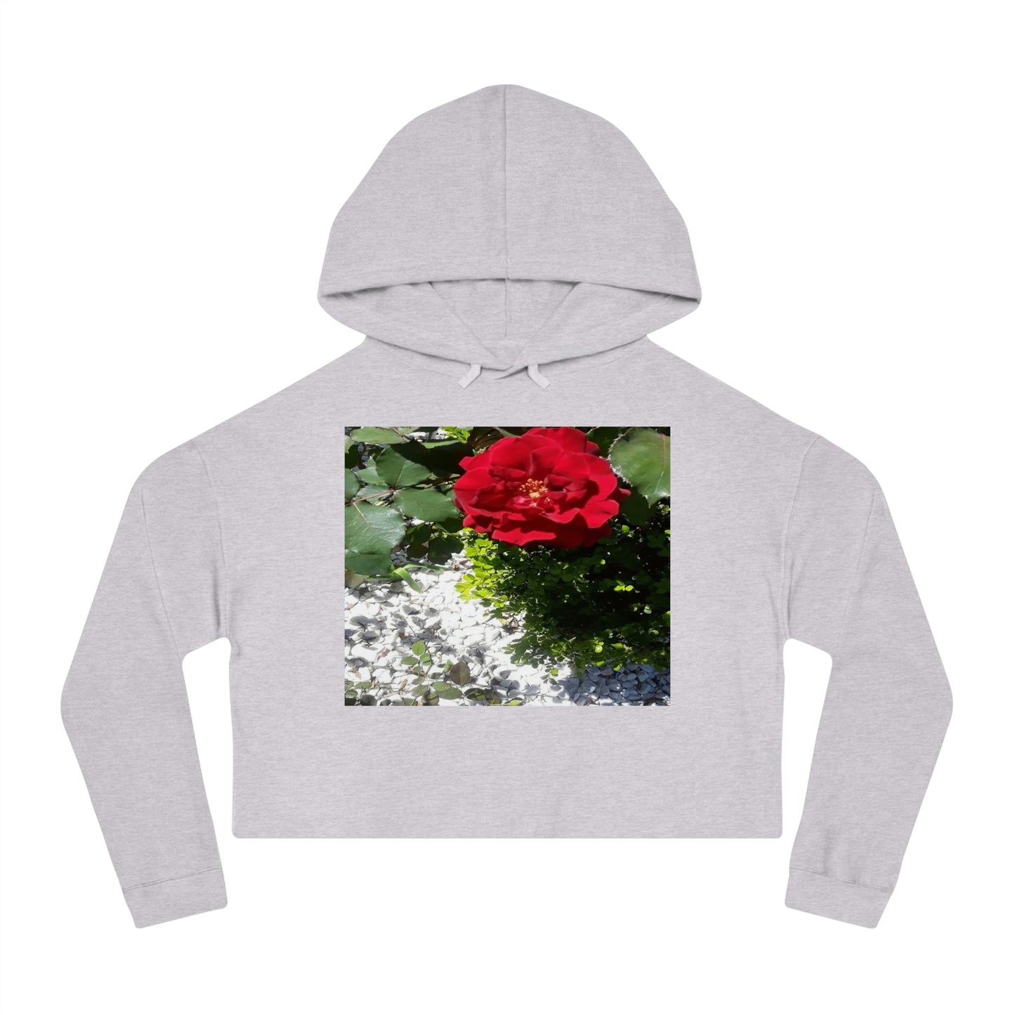 Women’s Cropped Hooded Sweatshirt with Europeana Red Rose Signature Print