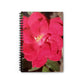 Knockout | Spiral Notebook 118 pg Ruled | High Bloom Collection | Life By Ortavia