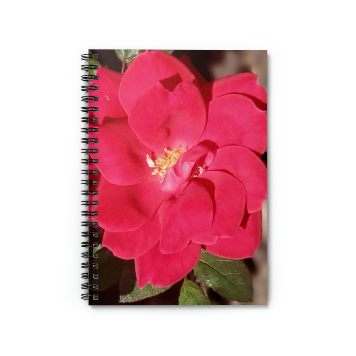 Knockout | Spiral Notebook 118 pg Ruled | High Bloom Collection | Life By Ortavia