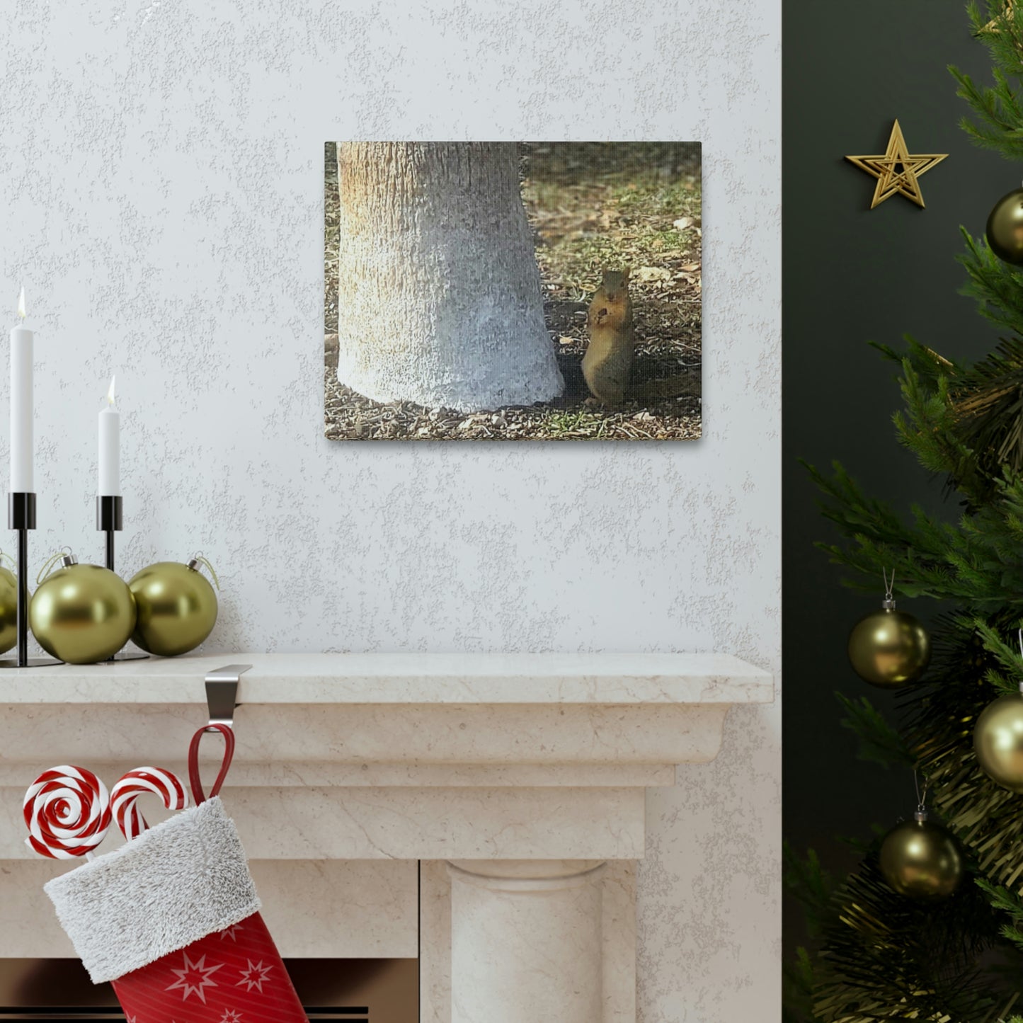 Squirrel and A Nut | Wall Art Print | Urban Geographic Collection | Life By Ortavia