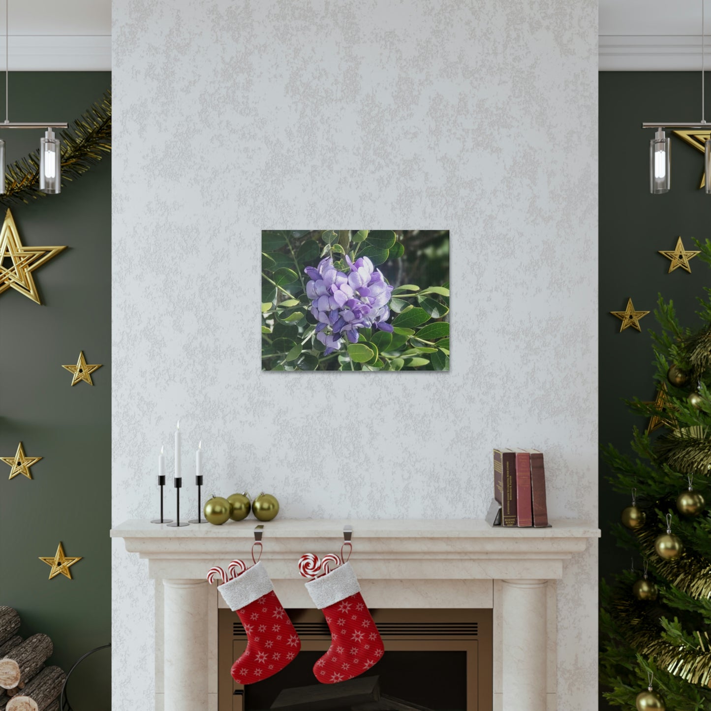 Purple Texas Mountain Laurel | Wall Art Canvas