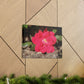 Knockout | Wall Art Print | High Bloom Collection | Life By Ortavia