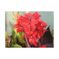 Red Canna | High Bloom Collection | Wall Art Print | Life By Ortavia