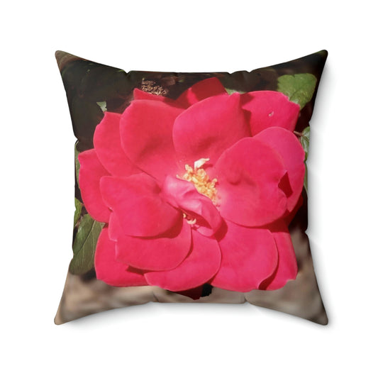 Knockout | Throw Pillow | High Bloom Collection | Life By Ortavia