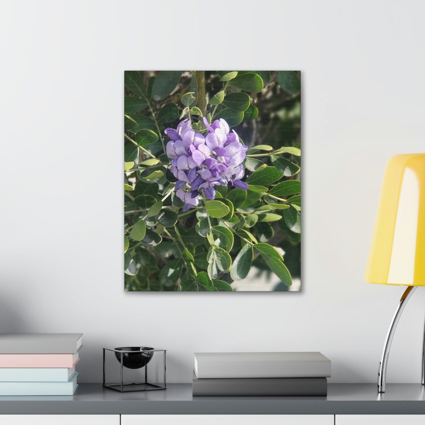 Purple Texas Mountain Laurel | Wall Art Canvas