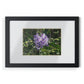 Framed Posters, Black