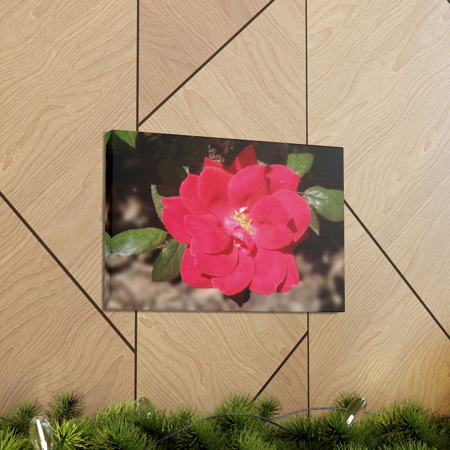 Knockout | Wall Art Print | High Bloom Collection | Life By Ortavia