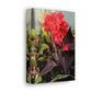 Red Canna | High Bloom Collection | Wall Art Print | Life By Ortavia
